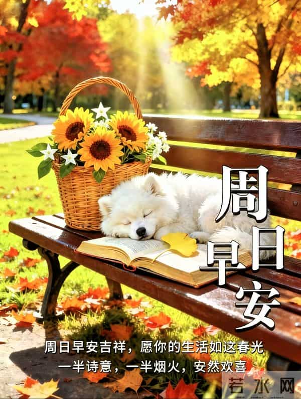 2025年11月30日周日早上好祝福语图片，最新温馨淡雅早安精美图片