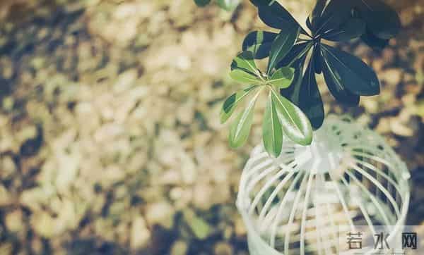 一个奇怪的现象：以前有困难，亲戚左邻右舍会帮你，现在很少帮了