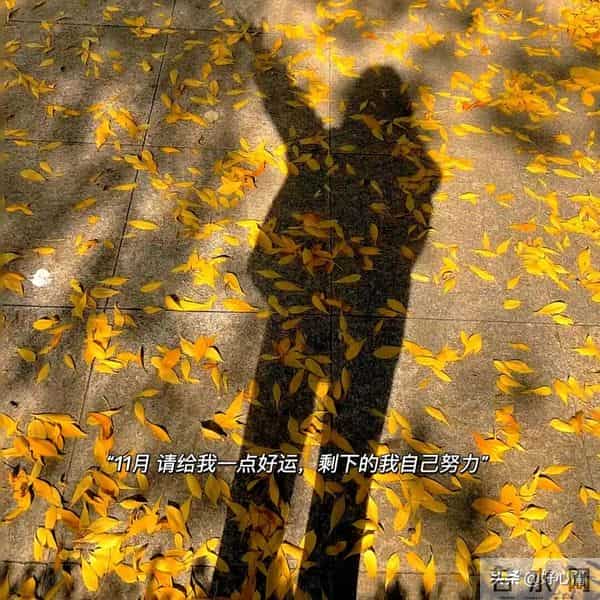 这段话，适合所有关系，太清醒了