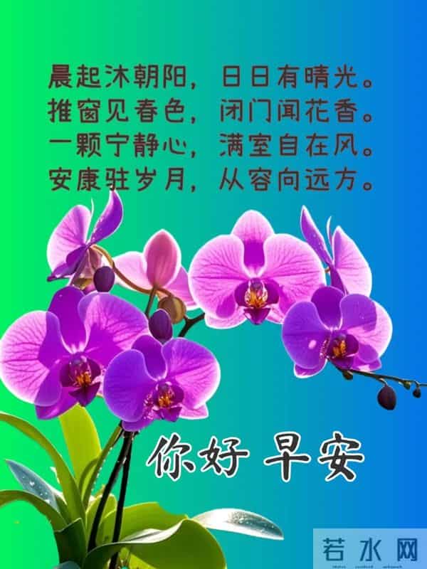 2025年11月30日周日早安最新祝福语图片：十一月再见，十二月你好