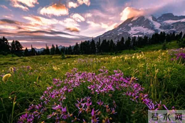 不管你信不信，女性过了50岁以后，特别渴望以下三种需求！