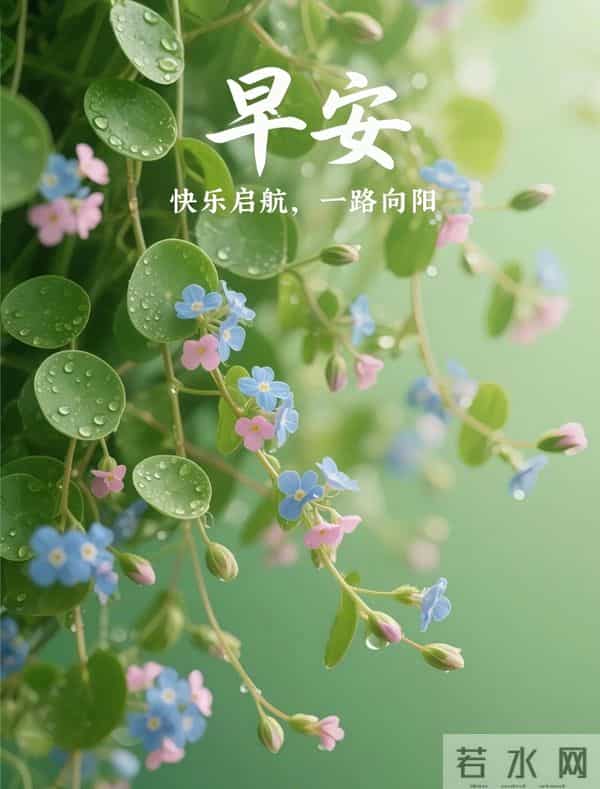 晨花伴早安，绿意裹新光
