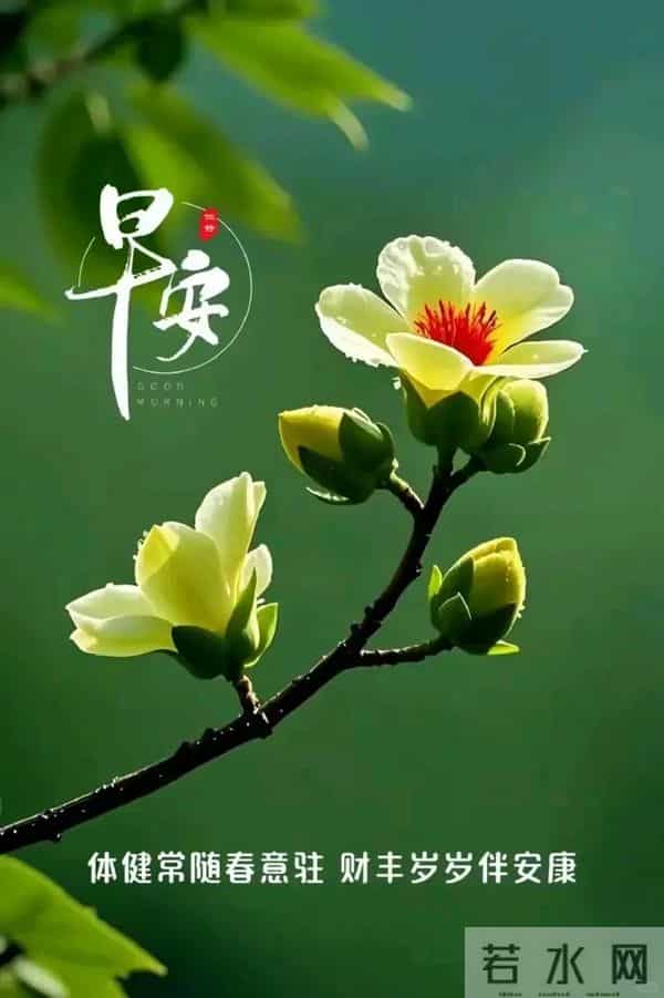 晨起暖心祝福图丨人生有缘成朋友，风雨同舟度春秋！