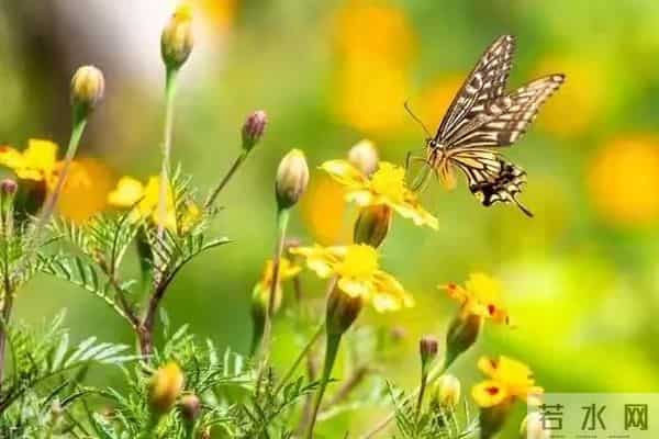 这段话抄下来，享用一生，永不过时，句句入心，直接抄了