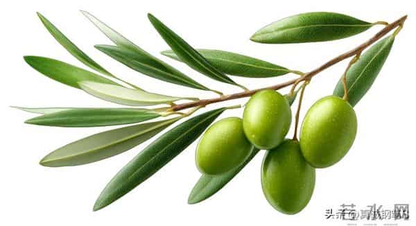 2026财富新赛道，谁将笑到最后？