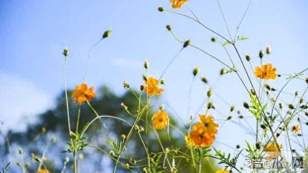 夫妻生活里，男人这些“坏动作”，比甜言蜜语更让女人心动