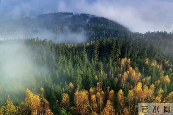 发现一个奇怪的现象：无论和谁打交道，适当的强势，你才会被尊重