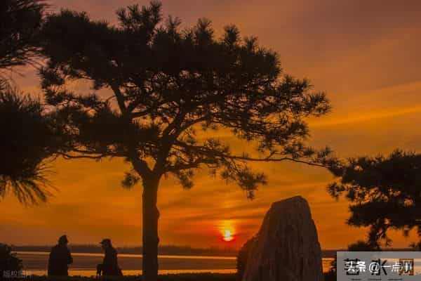 岳母住院我拒绝出钱救人，15年后母亲卧床，没想到老伴做得更绝