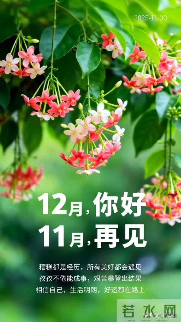 11再见文案图片，十一月最后一天朋友圈语录配图