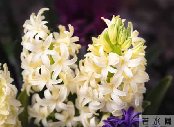 事实上，一个不喜欢你的女人，才会如此对待你