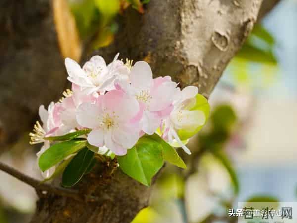 两性关系：女人是容易被"勾引"的三个秘密，第二个打死都不会说