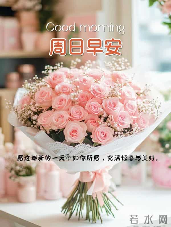 周日愉快!愿你采撷半日闲云，钓得一篓欢愉，尽享周末美好时光!