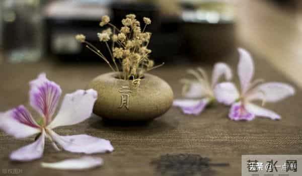 56岁男子将母亲从弟弟家接回，却让退休妻子照顾，结果把自己坑惨