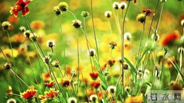 女人“好不好色”，从不看表面，这3个藏不住的表现，男人别不懂