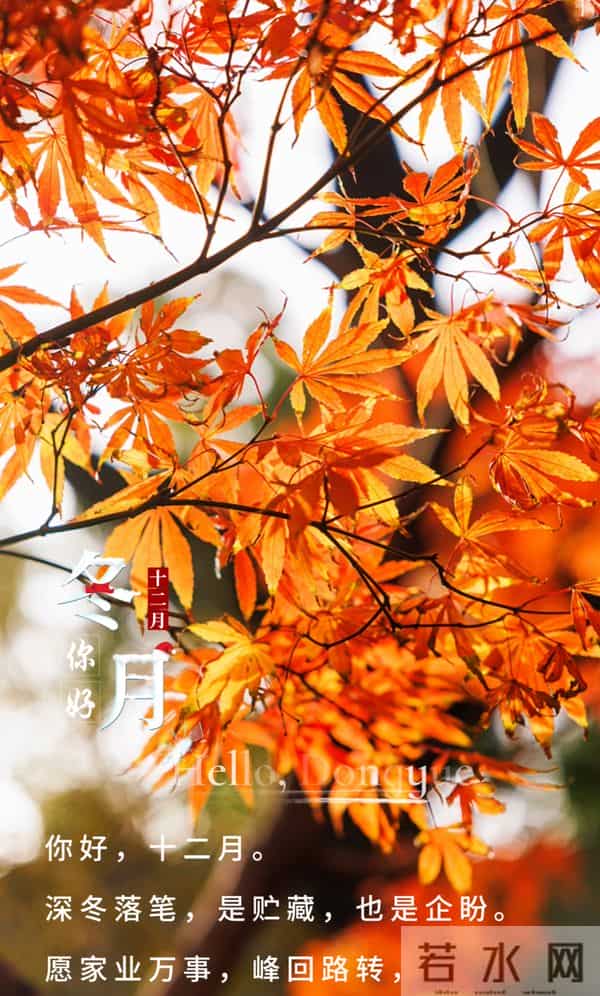 十一月再见十二月你好！
