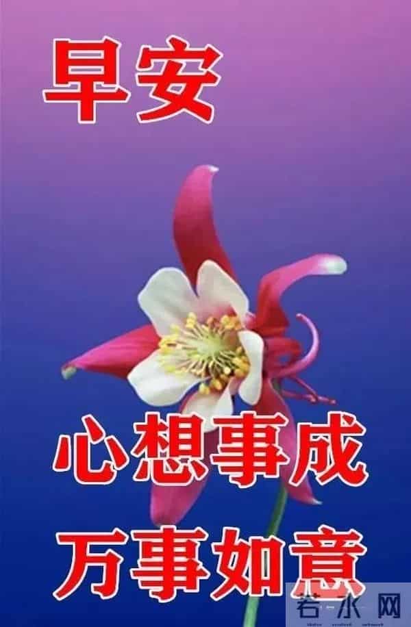 2025年12月1日早上好 ！早安精美图片 ， 周一快乐 早安吉祥！