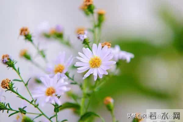 夫妻之间，有些事的发生，真不必要离婚！除非触碰了“原则”问题