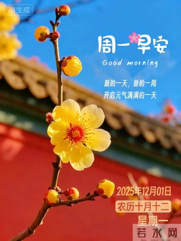 2025.12.01 今日唯美早安祝福图片问候，温馨早上好祝福语