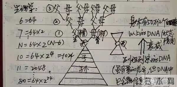 你我，本就是行走的祖宗——寒衣节祭祖归来的思考 姜晓彬-诗歌