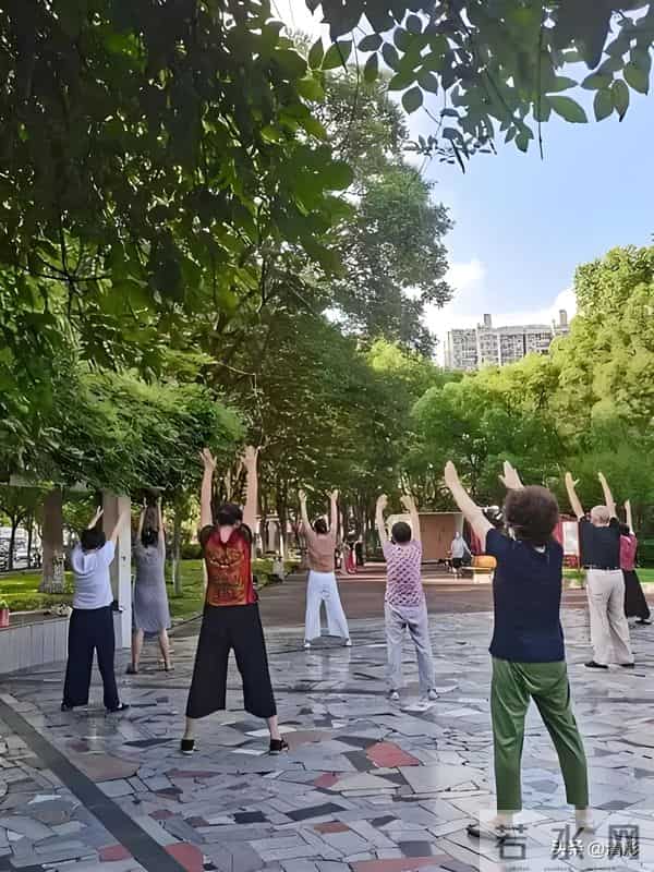 退休后最好的活法：深耕四件事，开启人生新篇章