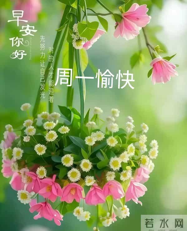 2025年12月1日早上好 早安周一愉快 早安温馨精美美图祝福语 早上好