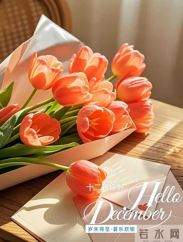 十二月你好 开启十二月 听雪落的声音等新年的烟火 十二月温馨问候语