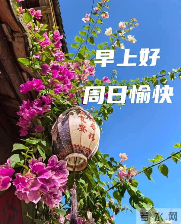 早上好 十一月的最后一天 早上好温馨问候语 难忘的十一月三十日