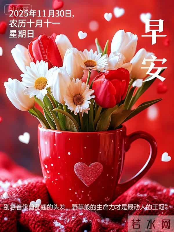 2025年11月30日周末愉快 早上好图片最新今天 温馨淡雅的早安图片