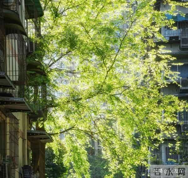 人到中年，最大的觉醒就是，不期待，不依赖，不指望，不多想