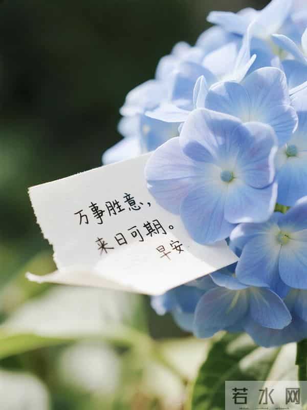 20句清晨暖心问候，满含牵挂与祝福，愿你健康相伴、幸福常存