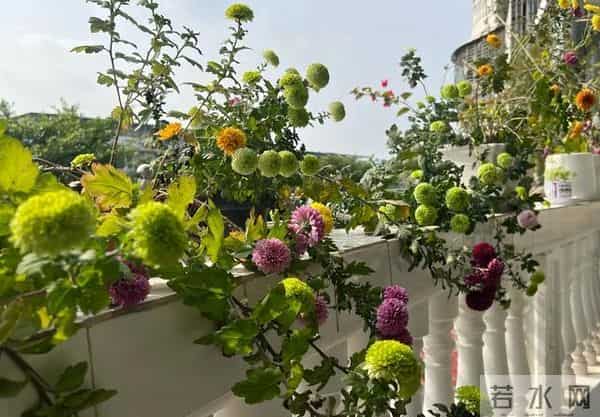 我是一个58岁女人，说句大实话：跟男人过日子，不要嫌弃和抱怨他