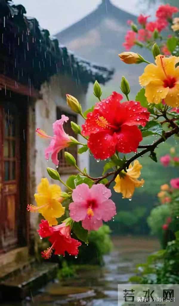 最好的告别：不消耗，不纠缠，静静退场