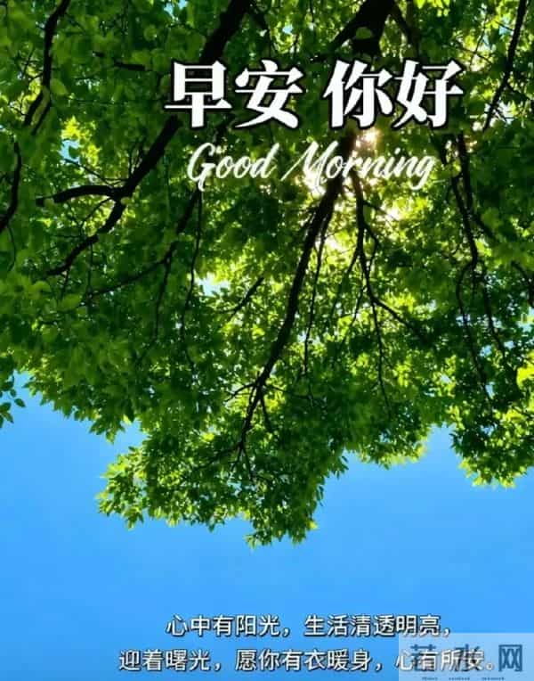 2025.11.30 冬天周日早上好！最新精美周日早安愉快温馨祝福语图片