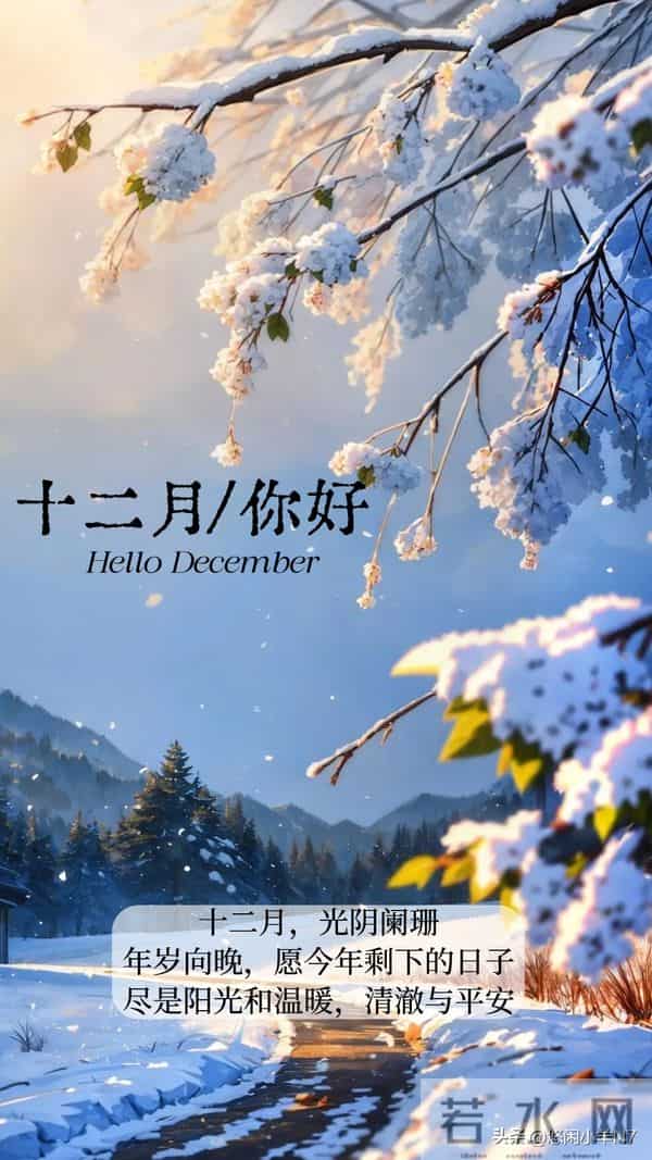 十一月就此别过，愿往后日子，风里带暖，慢慢走，稳稳爱～