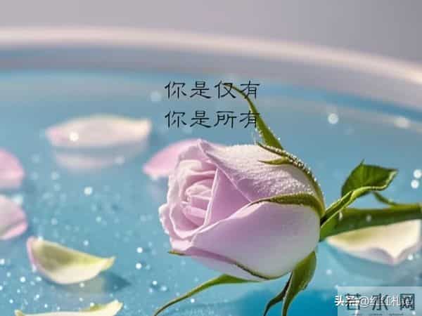 你是仅有，你是所有。