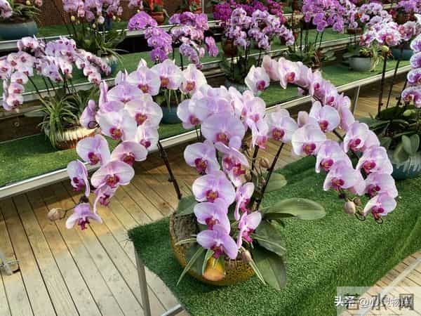 男人一碰女人这里，她就立马投降的两处“死穴”