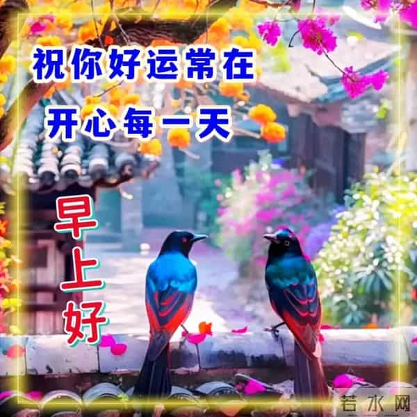 11月30日周日早上好 愿我们伴着不老的岁月 永远走在开心快乐的路上