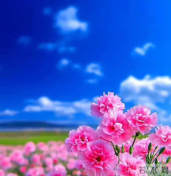 年过55才懂：兄弟姐妹翻脸后，这4种情况坚决不和解，早断早清净