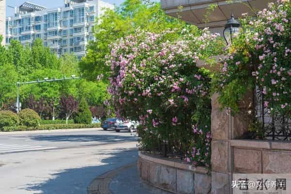 父母老了，这五件事必须对儿女隐瞒，真正懂得才是人生大智慧！