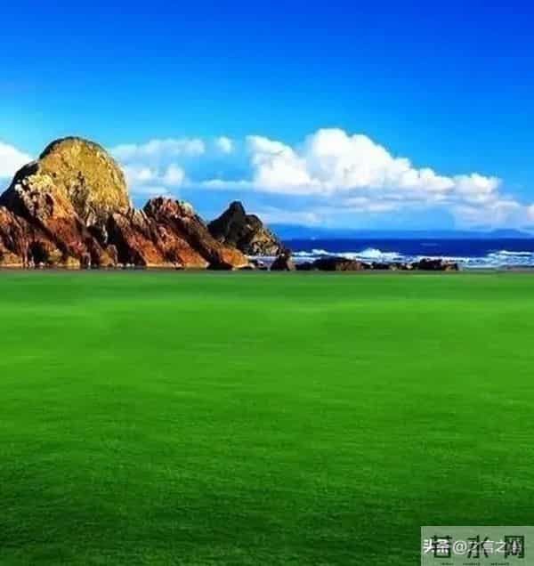 张晓磊爆款文章：[低头要有勇气，抬头要有底气]