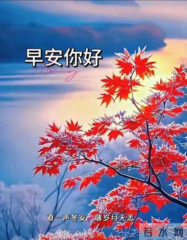 2025.11.30 冬天周日早上好！最新精美周日早安愉快温馨祝福语图片