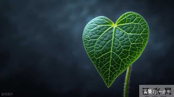 我回一趟老家知道，攒有100万的家庭里，大多有两种人，三种智慧