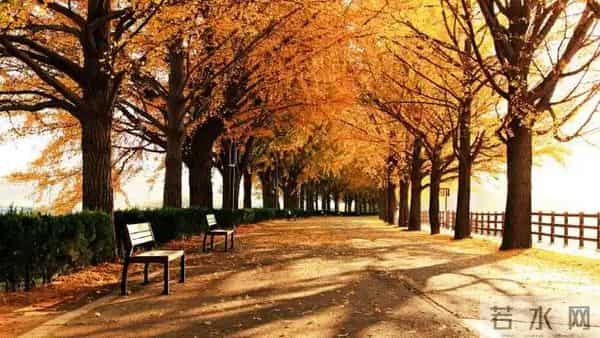 放下一个人最好的方式，只有这三句话