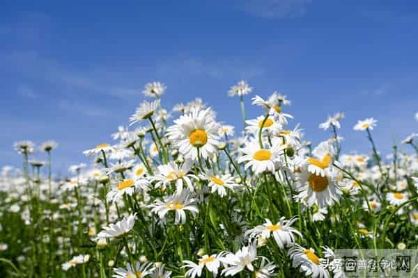 两性关系：女人是容易被"勾引"的三个秘密，第二个打死都不会说