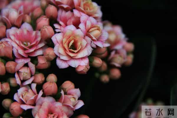 事实证明，女人想你了，会发出这样的信号