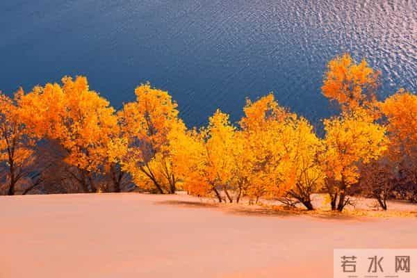 十一月结束文案，这样发超赞