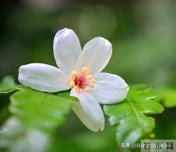 夫妻之间，有些事的发生，真不必要离婚！除非触碰了“原则”问题