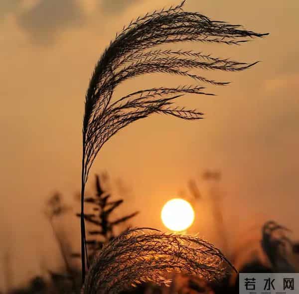 玄学：尽量不要跟身边任何人！包括你的亲人，分享这4件事！