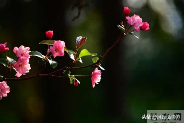 90%的情人走不到最后，不是因为没钱没性，而是少了这个关键字