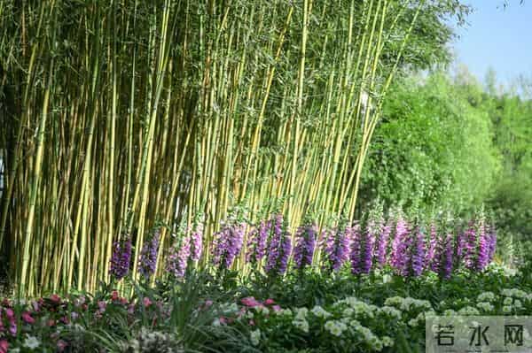 不管你信不信，女性过了50岁以后，特别渴望以下三种需求！